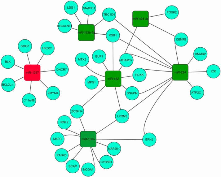 Figure 5