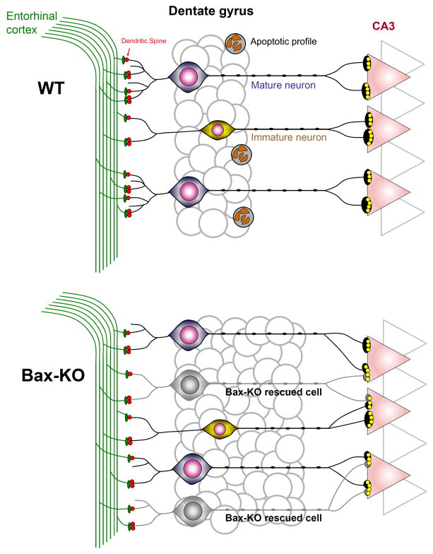 Fig. 7