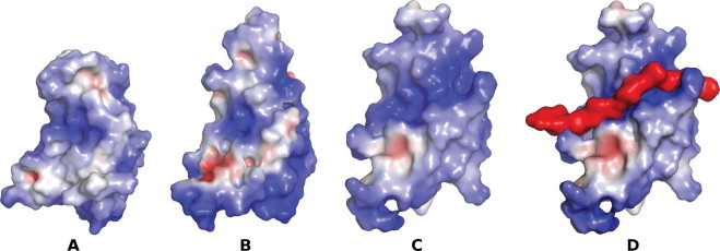 Fig. 5