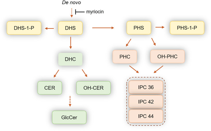 FIG 3