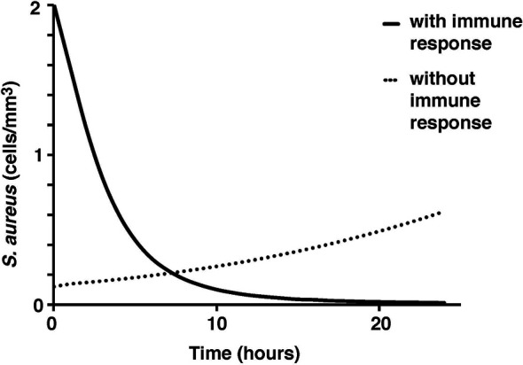 Figure 3