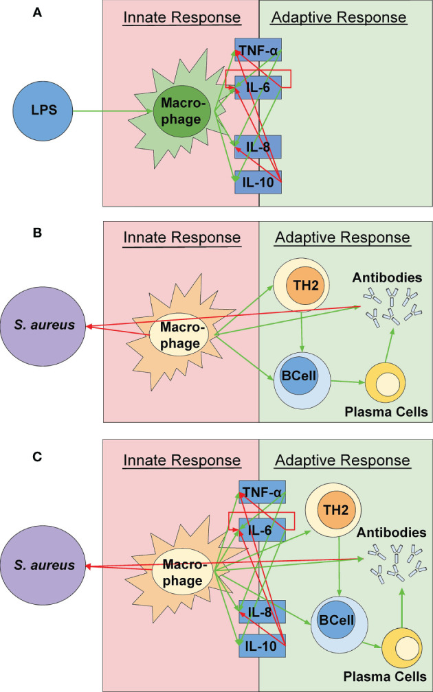 Figure 1