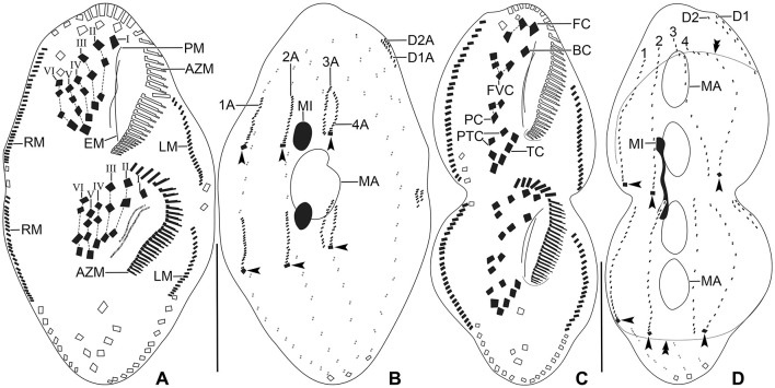 Figure 9