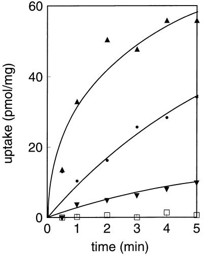 FIG. 5