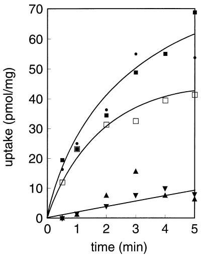 FIG. 6