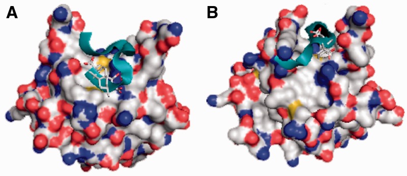 Figure 5.