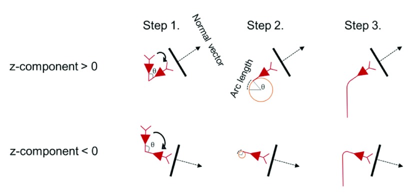 Supplementary Figure S2. 