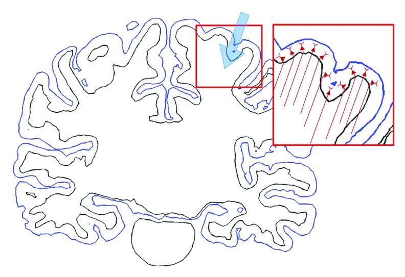 Supplementary Figure S1. 