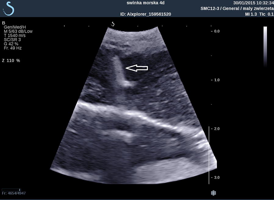 Fig. 2