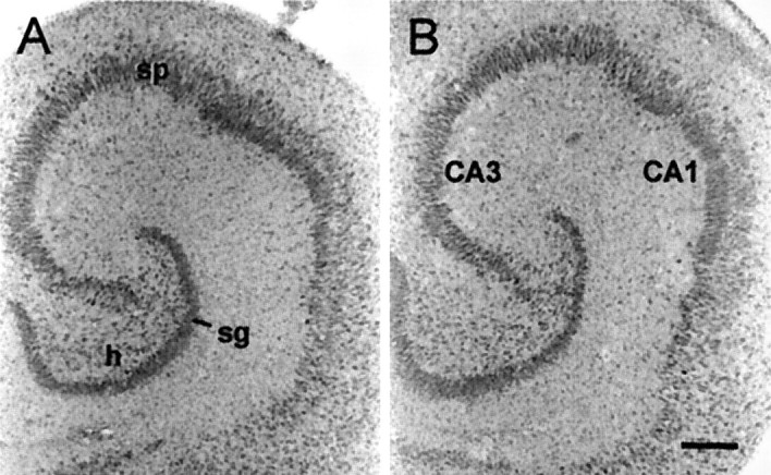 Fig. 11.