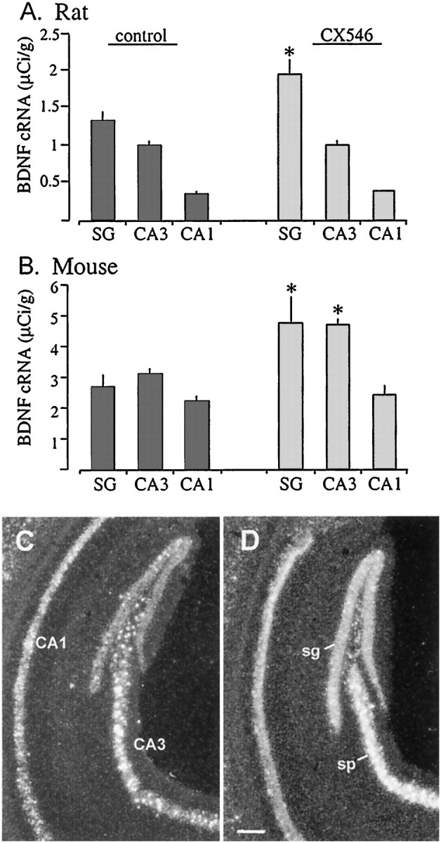 Fig. 12.