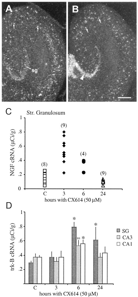 Fig. 9.