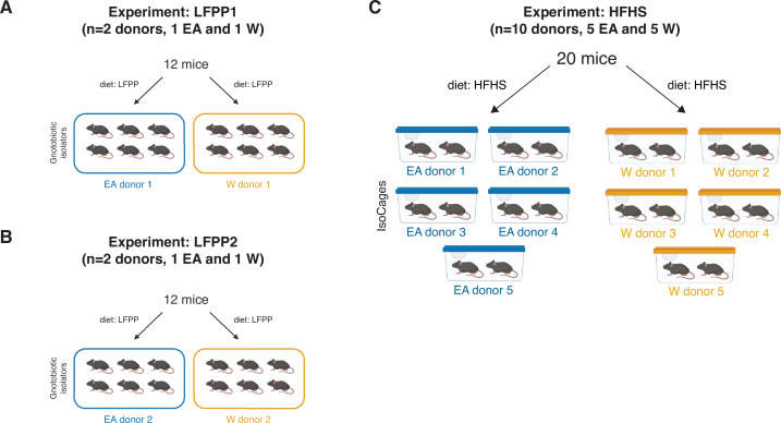 Figure 7—figure supplement 1.