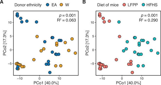 Figure 7—figure supplement 3.