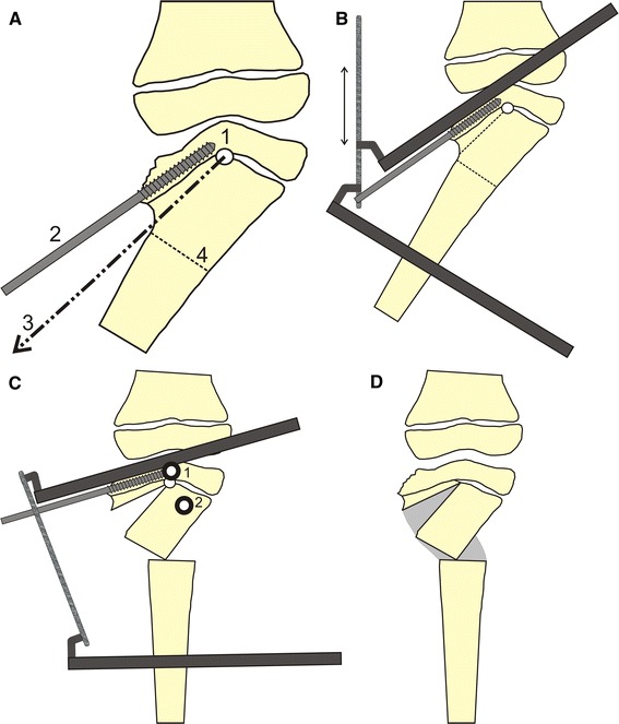 Fig. 5