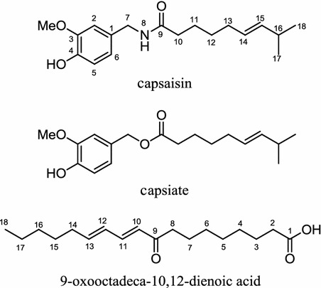 Fig. 11