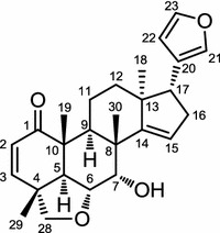 Fig. 5