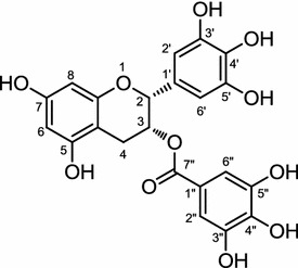 Fig. 4