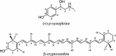 Fig. 10