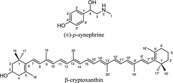 Fig. 10