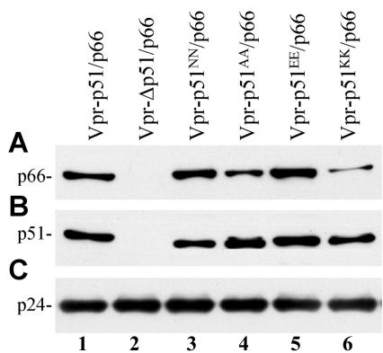 FIG. 5.