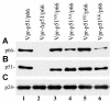 FIG. 5.