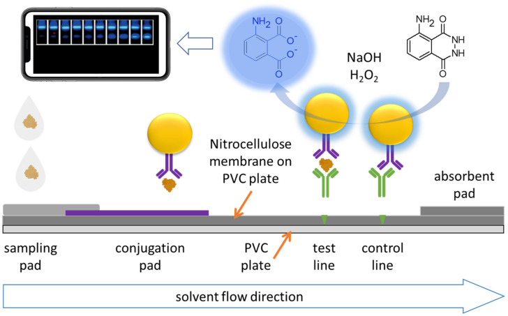 Figure 15