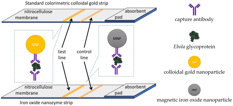 Figure 13