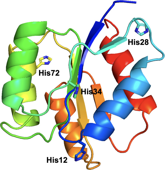 Figure 2—figure supplement 2.