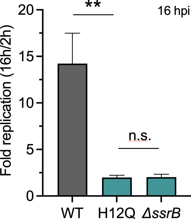 Figure 3—figure supplement 2.