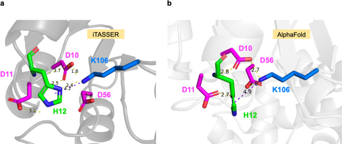 Figure 5—figure supplement 1.