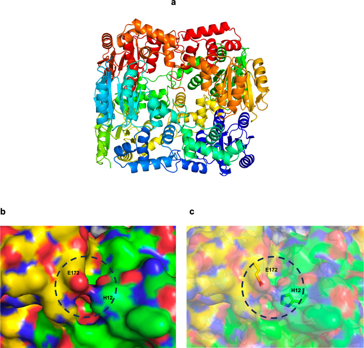 Figure 5—figure supplement 3.