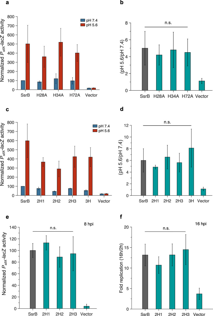 Figure 2—figure supplement 3.