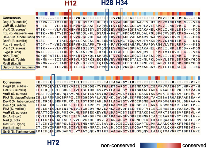 Figure 2—figure supplement 1.