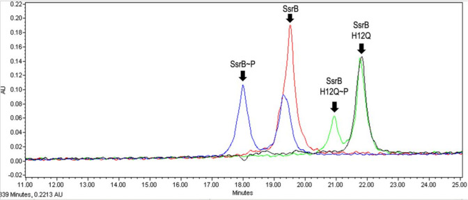 Figure 4—figure supplement 1.