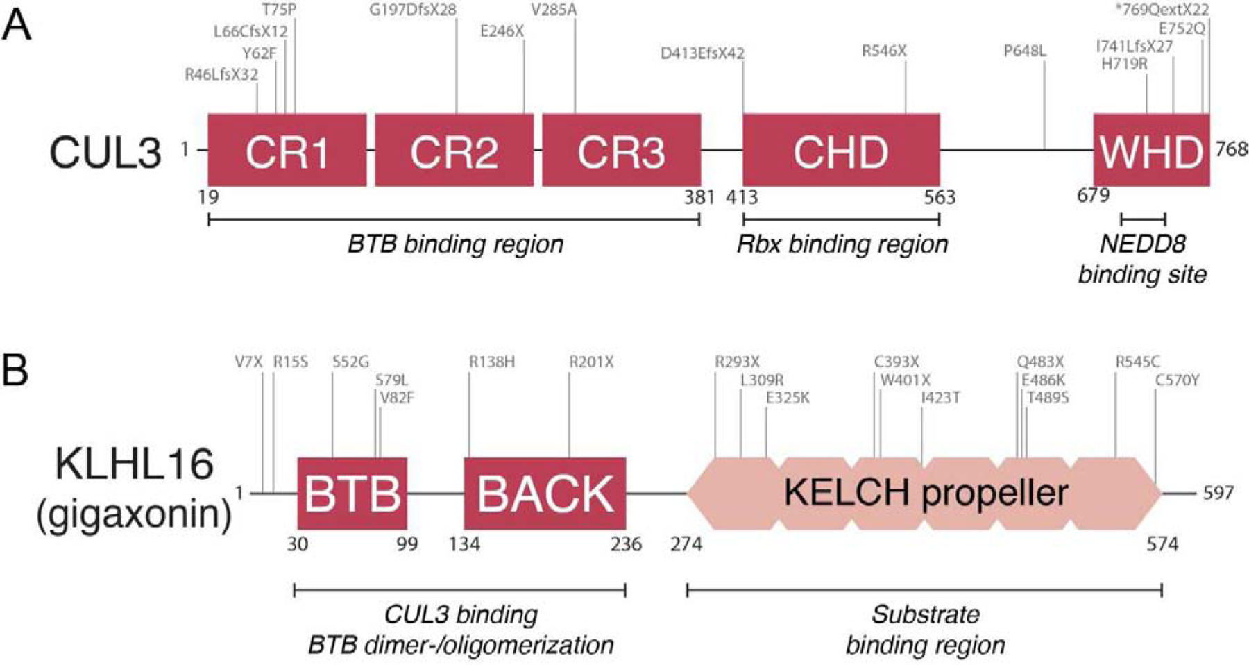 Figure 3: