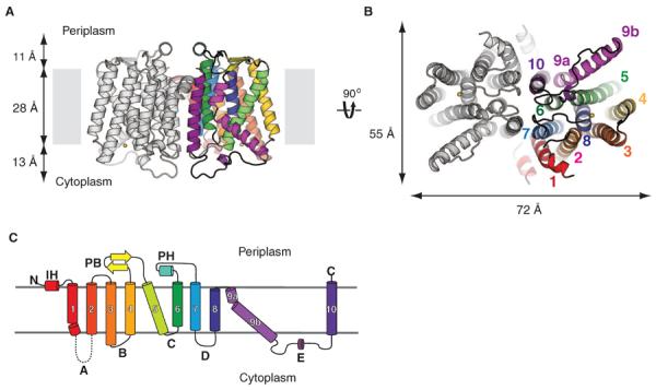 Fig. 2