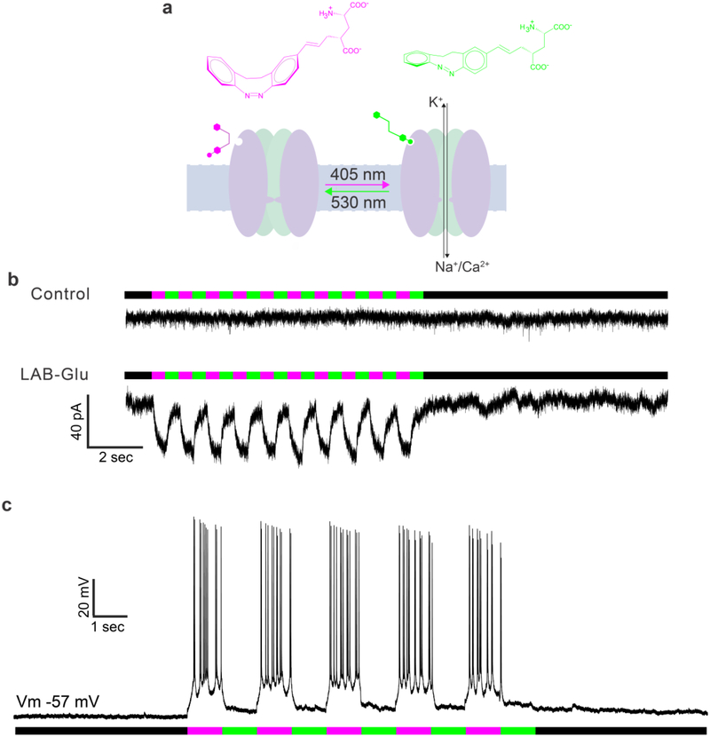 Figure 5.