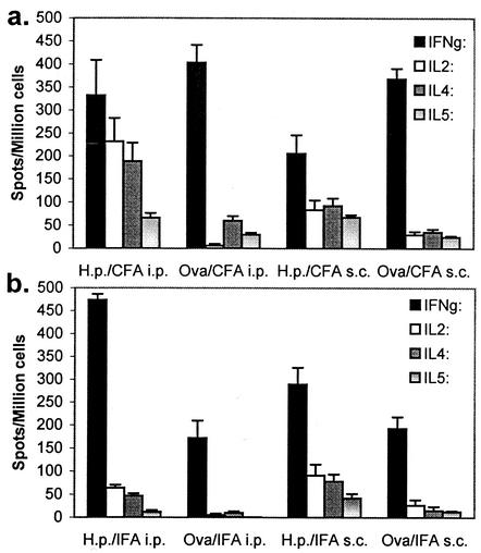 FIG. 3.