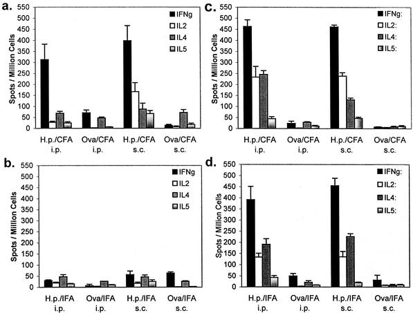 FIG. 2.