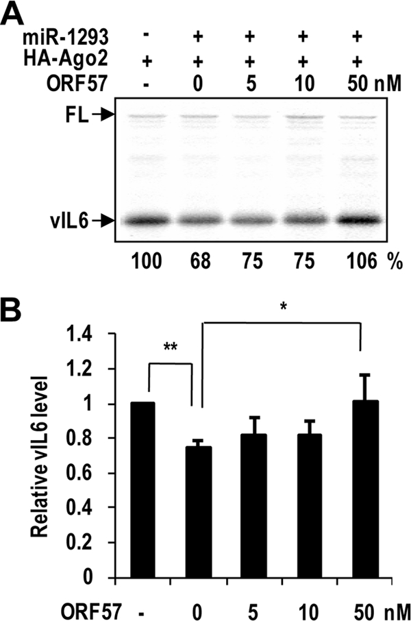 FIG. 8.