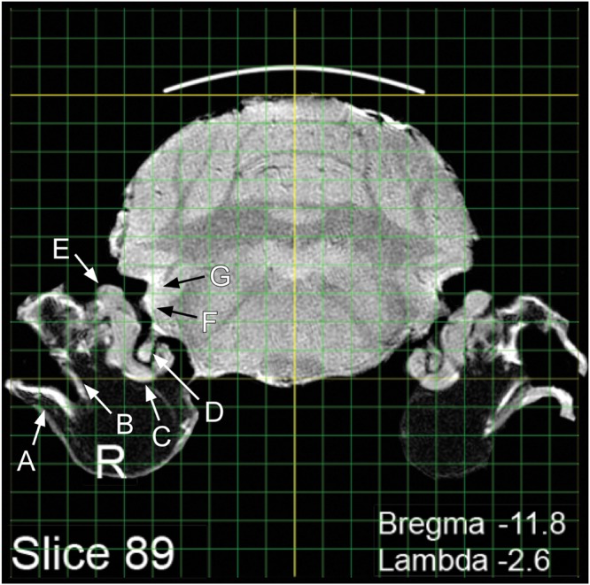 FIGURE 3