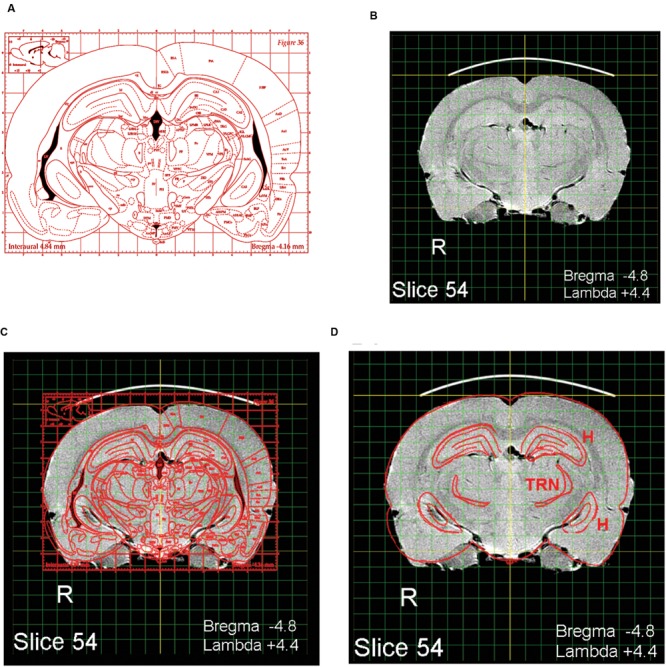 FIGURE 2