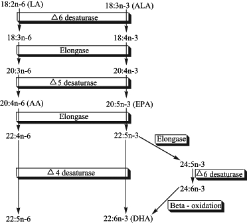 Figure 2)