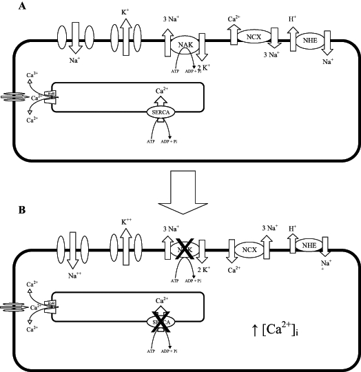 Figure 3)