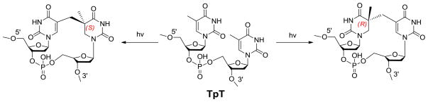 Scheme 3