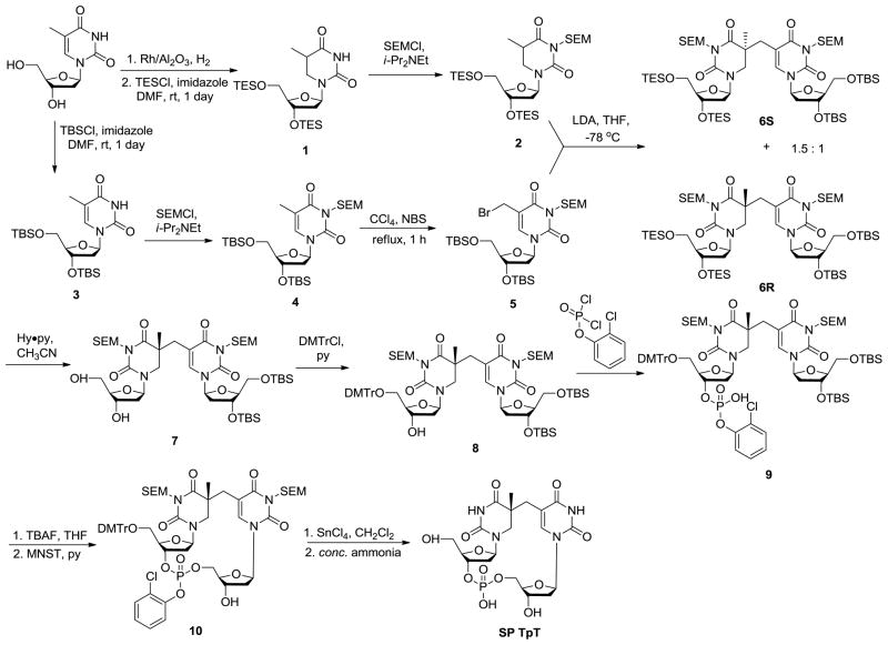 Scheme 6