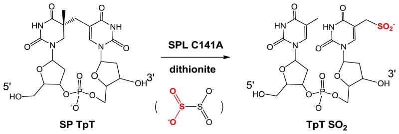 Scheme 9