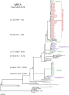 FIG 2