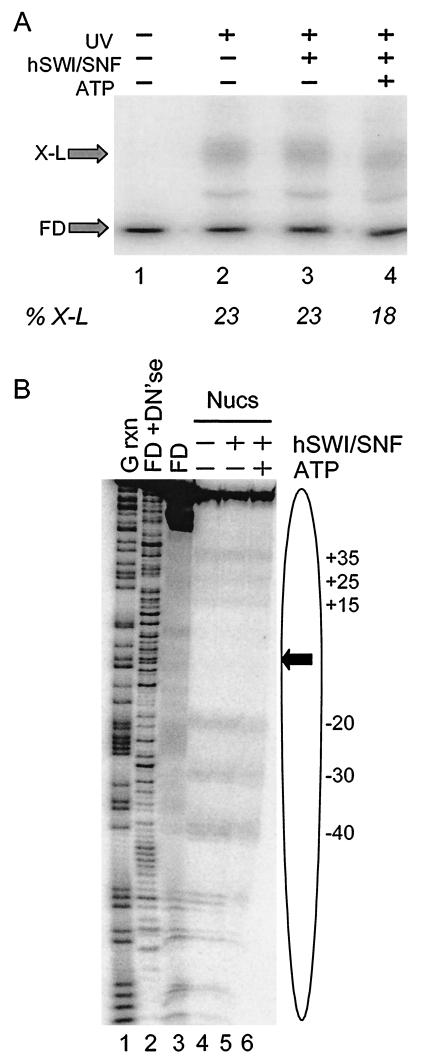 FIG.3.